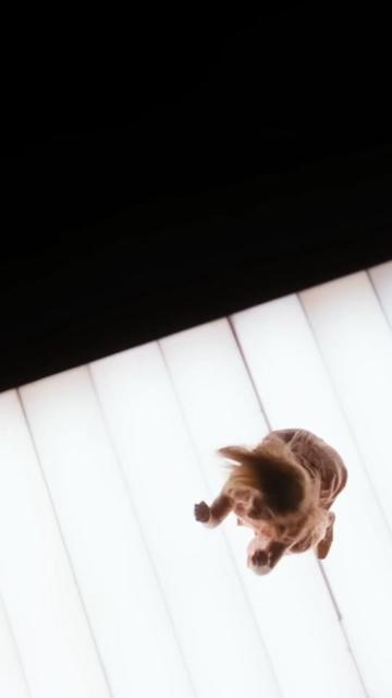@TIUMOX