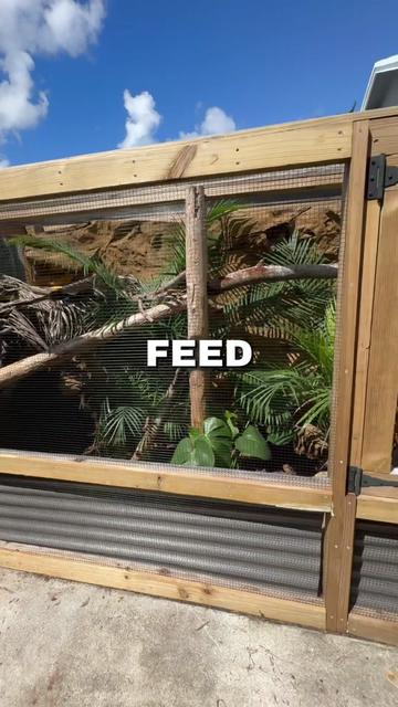 @Tommys_reptiles