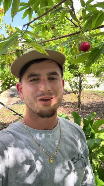 @will.harvest