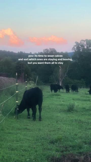 @Sami • LDH Farmstead