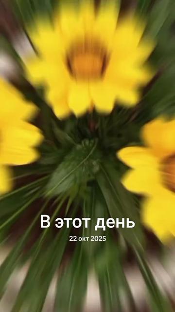 @Sveta_Petrenko