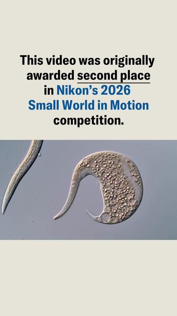 @Science News