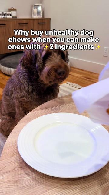 @Dogs Made Simple