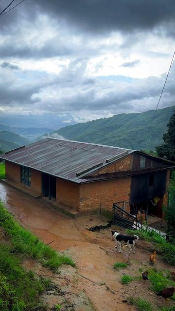 @Sudarshan Neupane