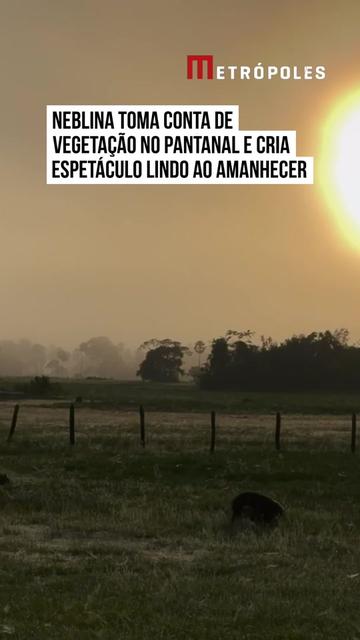 @Metr&oacute;poles Oficial
