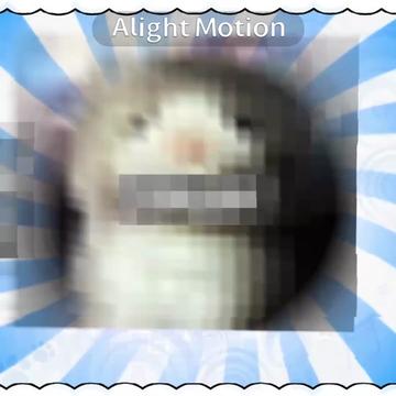 @𝖪𝓐𝖸𝖫𝜣🐾┆𝑩𝒆𝒆𝒍𝒛𝒆𖥔˚🦴