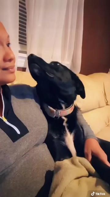 @theadorablechef