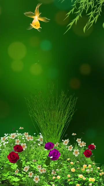 @💕Mary