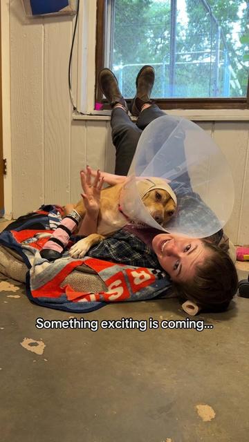 @sftsanimalrescue