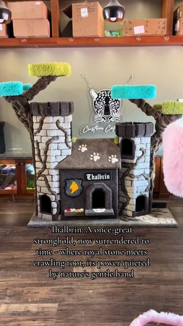 @customcatcribs