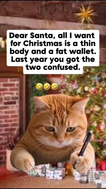 @Borimami25