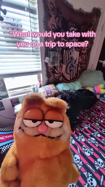 @Mickie ☆°•