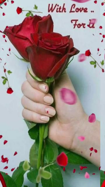 @Al Amin Howlader