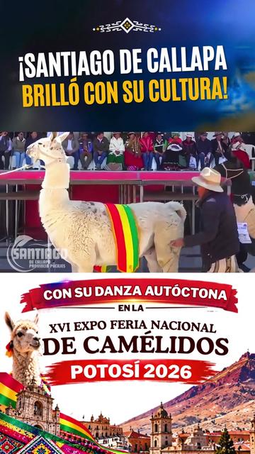 @Hilarion Bolivia Informa 🇧🇴