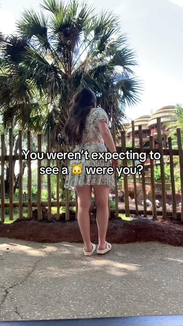 @Renee