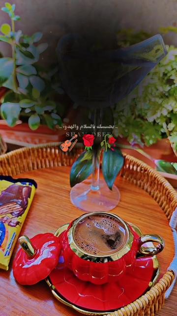 @عبير الورد🍃❤️