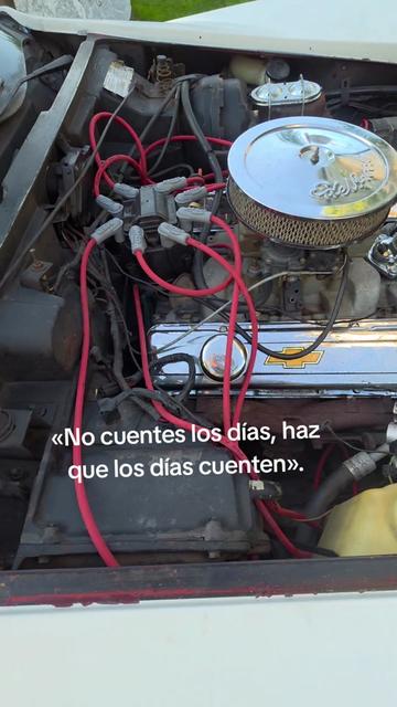 @ruma