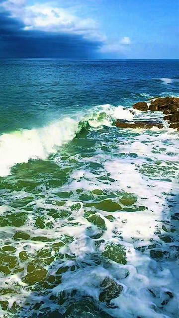 @it My Life cuộc sống 🇺🇸🇻🇳
