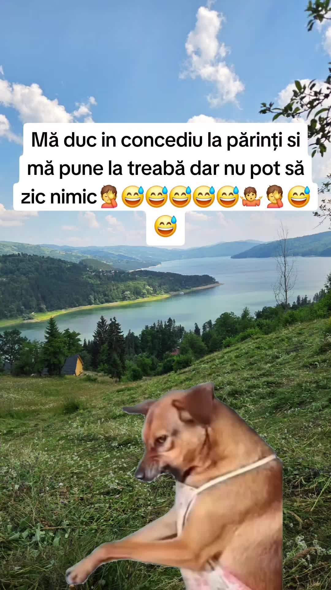 @Irimia Vasilică