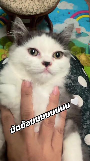 @ทัญญ่า 🌻 เรียกเราชื่อนี้ 🌻