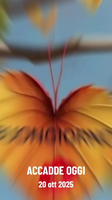 @alessandramarchi726