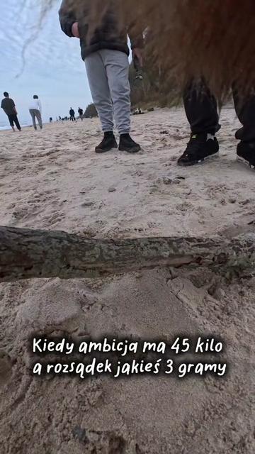 @labidakar