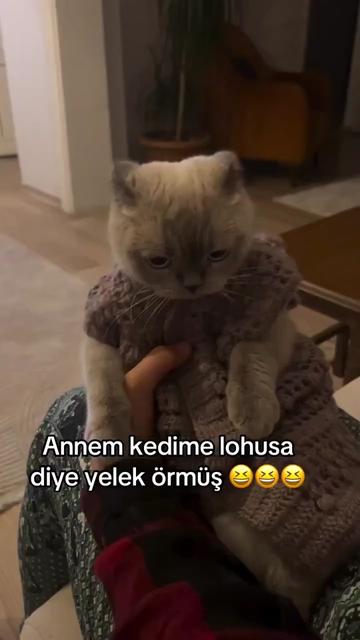 @Kader