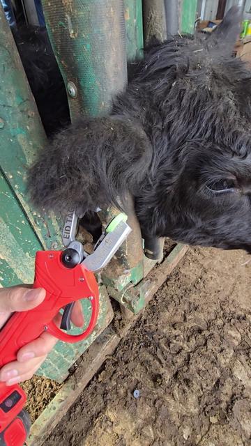 @1HANDNFARMING 🦾🌾🐂🚜