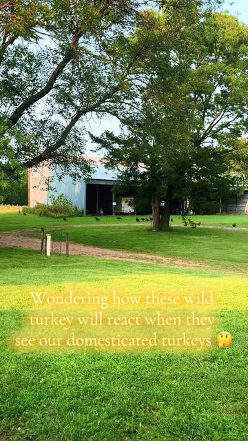 @Jessica P | Heart of Green 💚