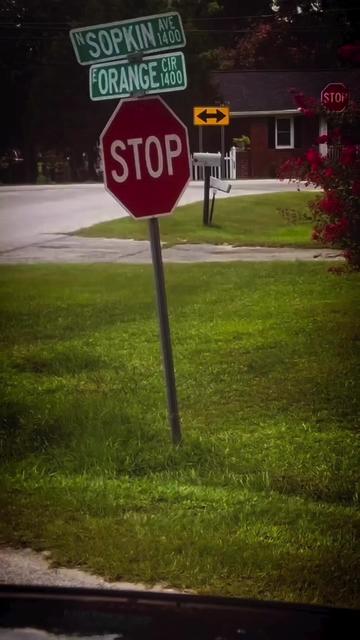 @Pott