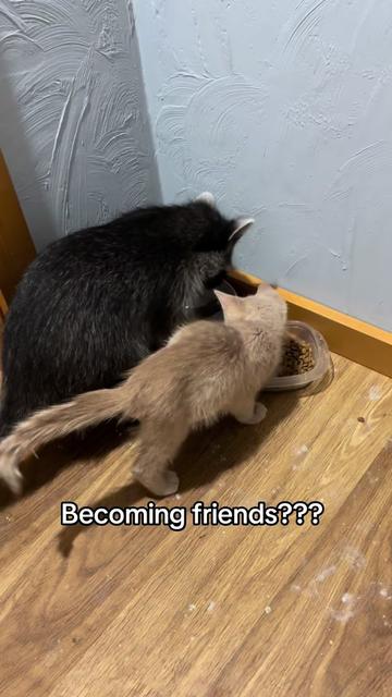 @ittybittyfarm1
