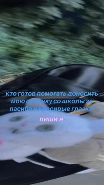 @ang3ls🪽