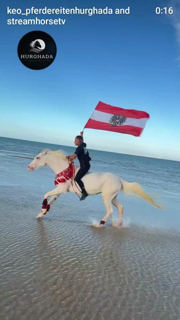 @streamhorse
