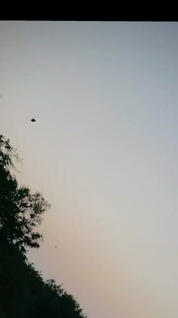 @Arshad Ali Kamalka