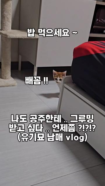 @๐ฉ์ด์์ฌ×234๐ฉ