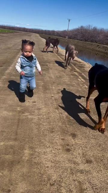@blessed_dobies
