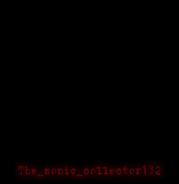 @the_sonic_collector132