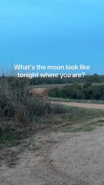 @Farmer and me