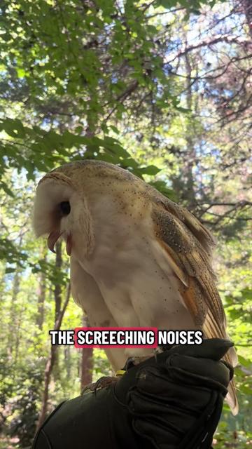 @Carolina Raptor Center