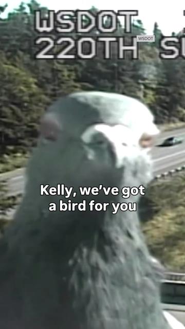 @Washington State DOT