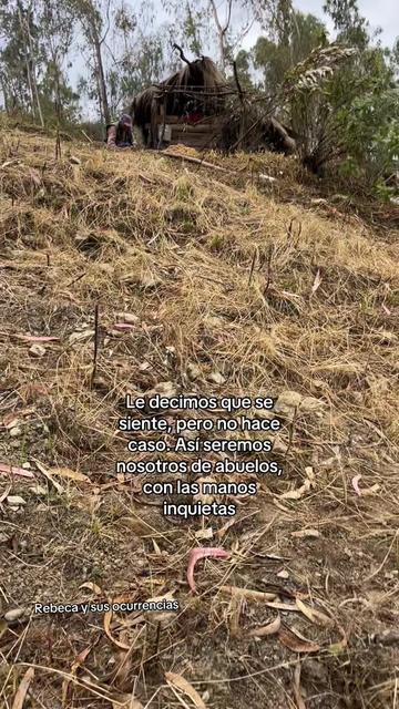 @🐈Rebeca y sus ocurrencias