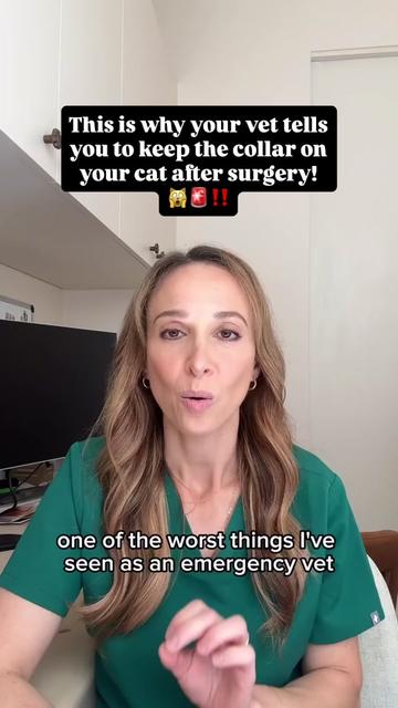 @CAT by Dr Lisa
