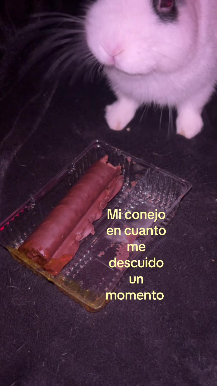 @𝕂arina García 🎀