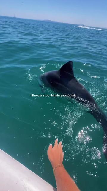 @Hailey Shevitz