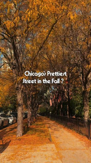 @Pooja Naik | Chicago Foodie