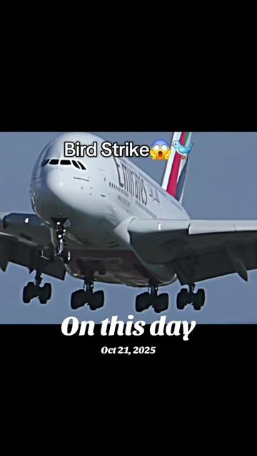 @KPK AVIATION ✈️✈️