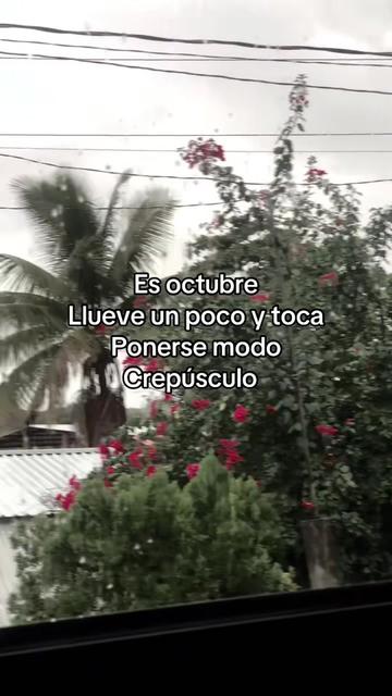 @rosapedraza48