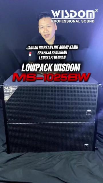 @Wisdom Pro Audio