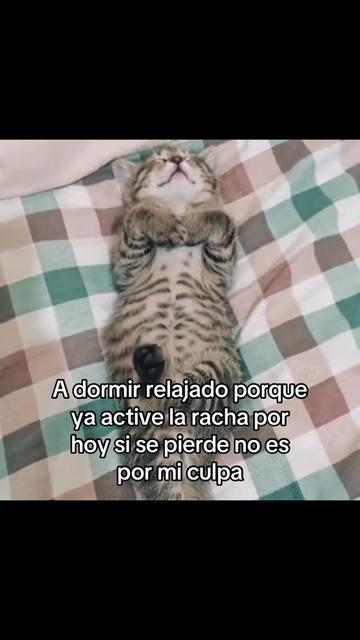 @saulburgosp