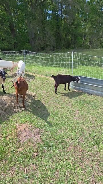 @DelaterrePermacultureFarm